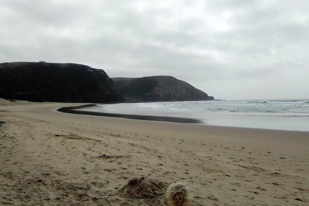 Wildview Self Catering Cottages Coffee Bay, Breakfast & Wi-Fi Inc מראה חיצוני תמונה