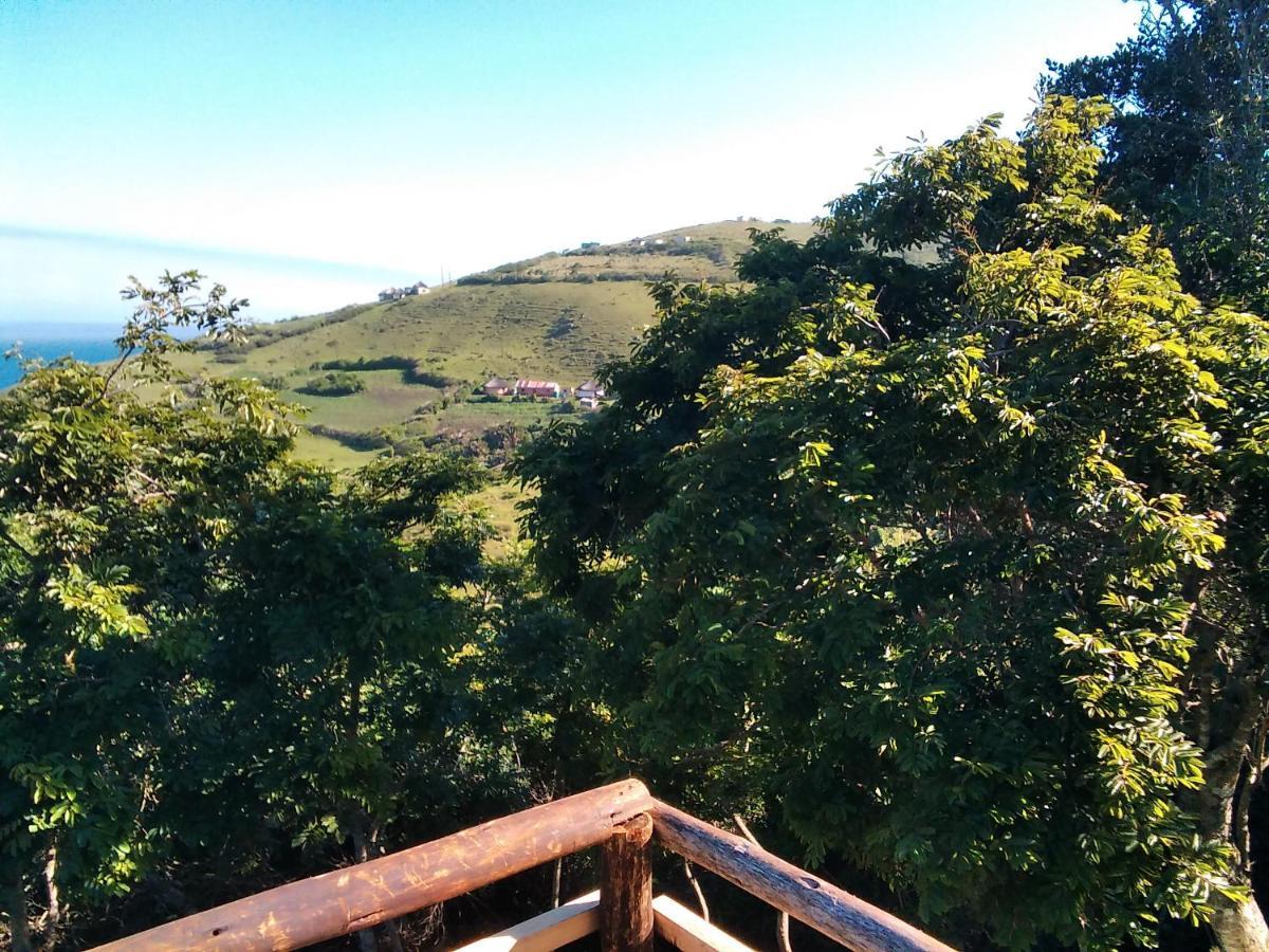 Wildview Self Catering Cottages Coffee Bay, Breakfast & Wi-Fi Inc מראה חיצוני תמונה