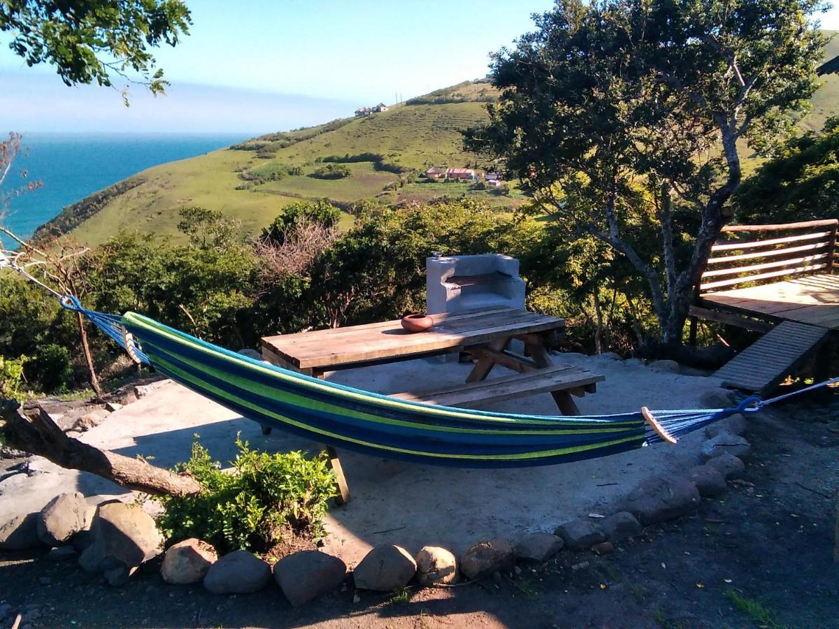 Wildview Self Catering Cottages Coffee Bay, Breakfast & Wi-Fi Inc מראה חיצוני תמונה