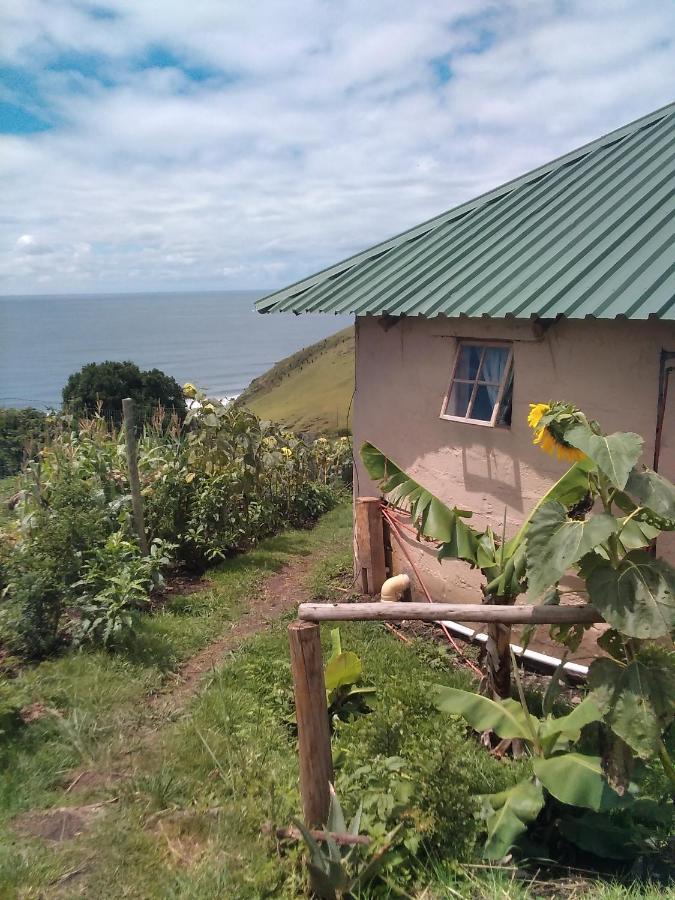 Wildview Self Catering Cottages Coffee Bay, Breakfast & Wi-Fi Inc מראה חיצוני תמונה